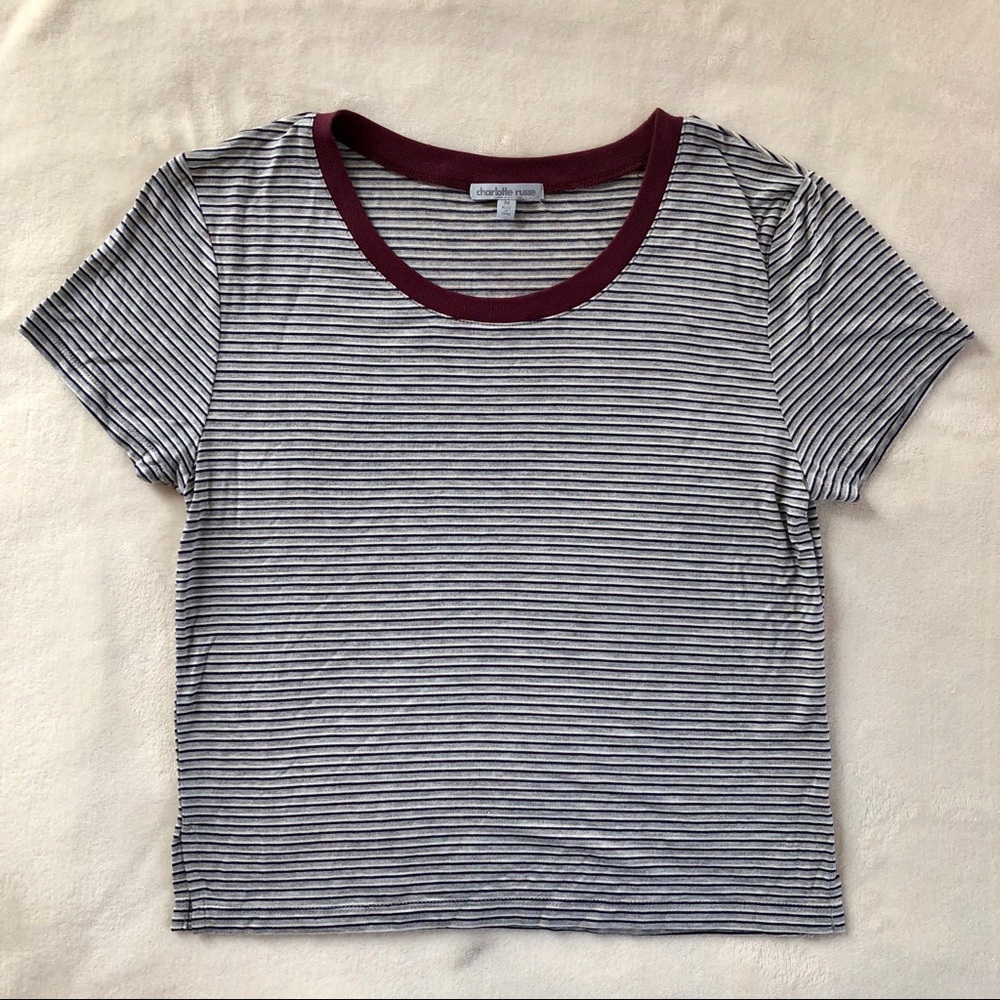 Grey Stripe Cropped Tee✨